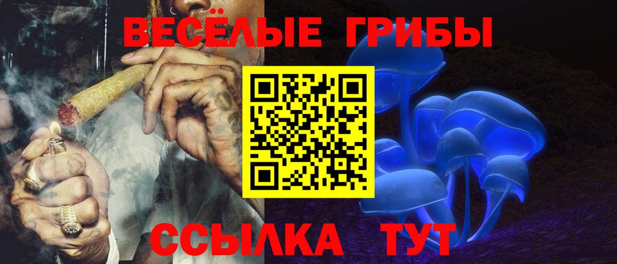 Псилоцибиновые грибы Psilocybine cubensis  Псилоцибиновые грибы Psilocybine cubensis  Вход с VPN  Заречный 