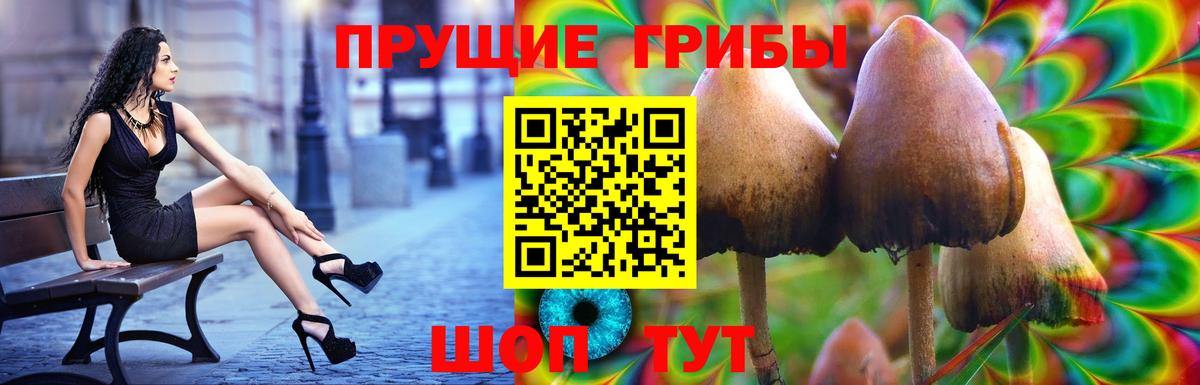 Галлюциногенные грибы Magic Shrooms Заречный
